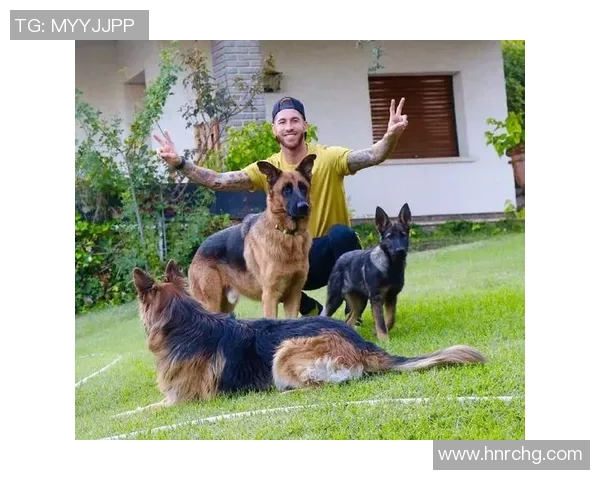 足球明星与他们的爱犬：场上风采与场外陪伴的温馨故事